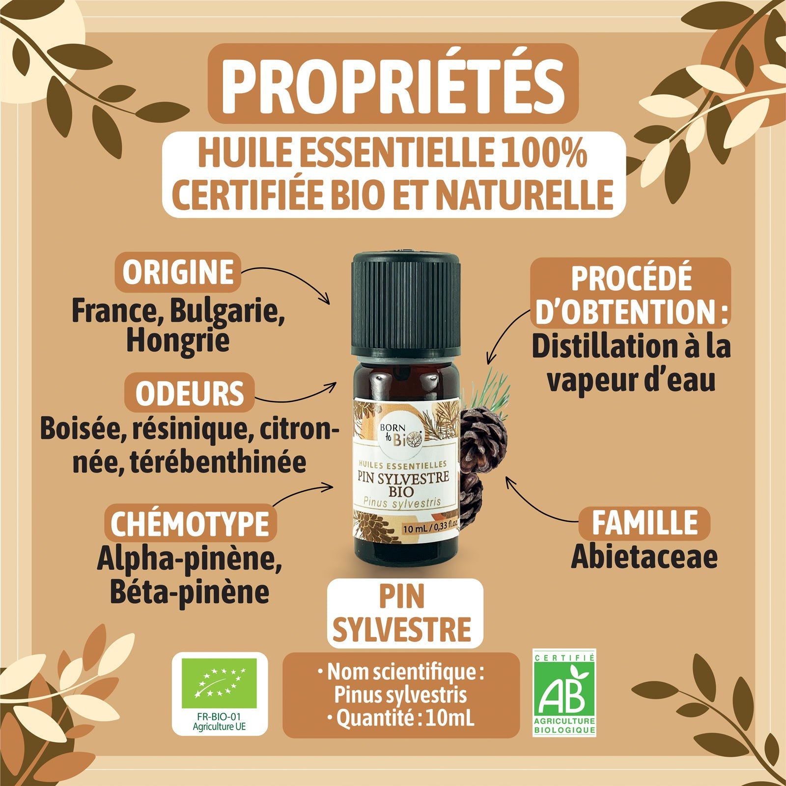 Huile essentielle Pin sylvestre Certifiée Bio