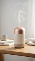 Rose Gold Diffuser & Humidifier Duo