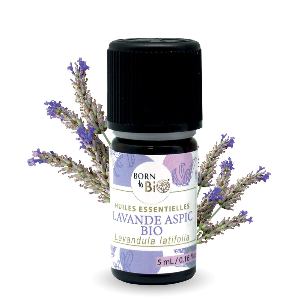 Huile essentielle Lavande Aspic Certifiée Bio