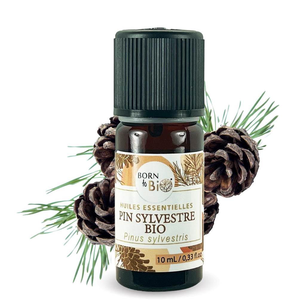 Huile essentielle Pin sylvestre Certifiée Bio